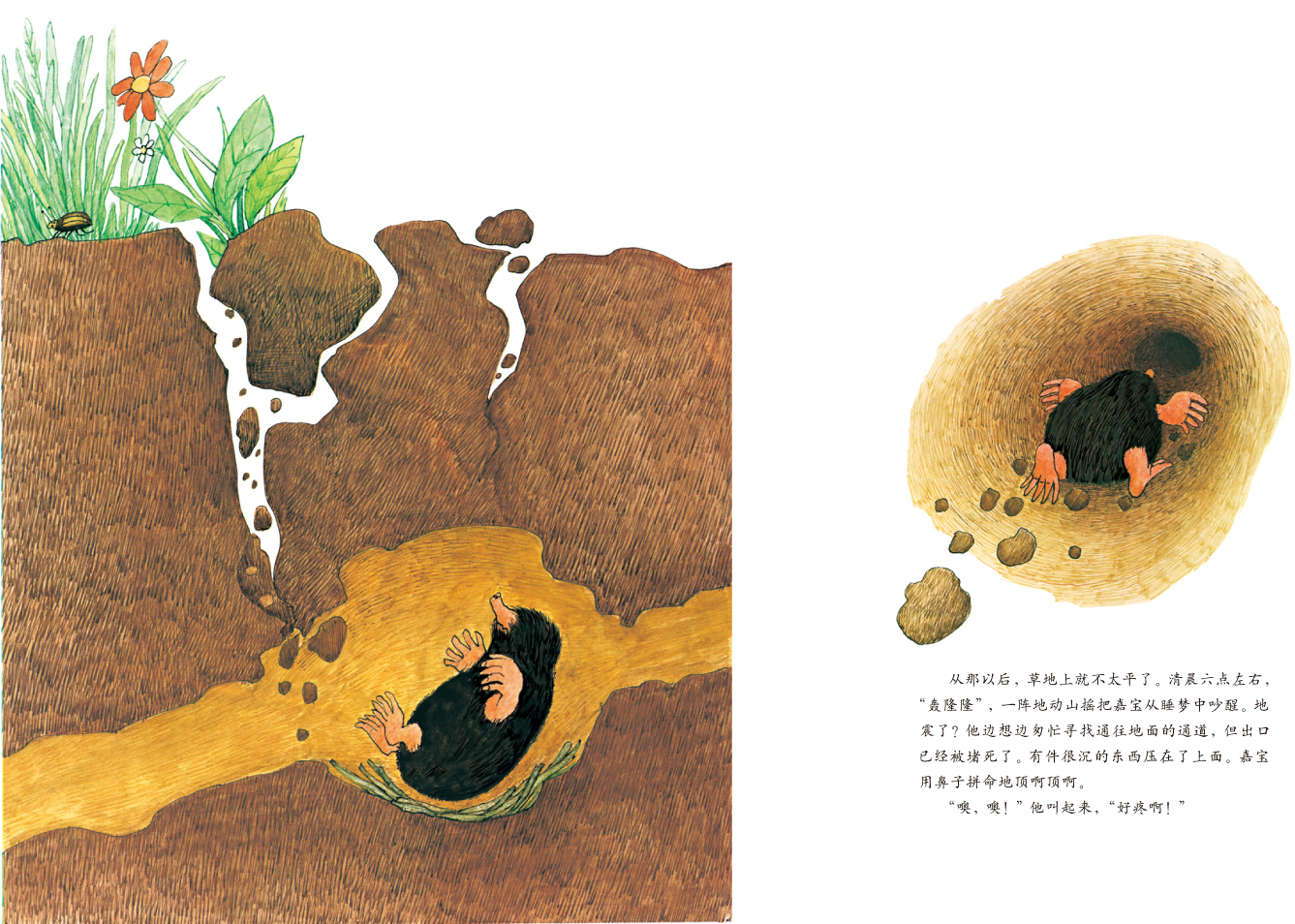 小鼹鼠嘉宝 (09),绘本,绘本故事,绘本阅读,故事书,童书,图画书,课外阅读